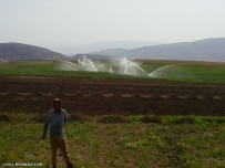 ابیاری بارانی اراضی روستای قورجاق