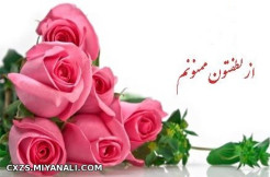 به رسم ادب  برای قدردانی از دوستان