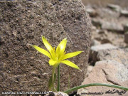  سلام به دوستای ادد لیستم