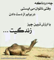 اری