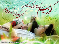 شعر ترکی