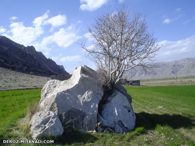 قدرت کردگار