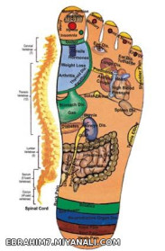 نقاط مختلف کف پا که با اعضای بدن در ارتباط هستند
