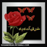 دوستان عزیزم به صفحه ی من خوش امدید...