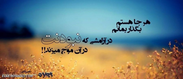 هرجا که هستم بگذار بمانم...