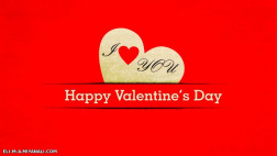 _______Happy Valentine Day_______