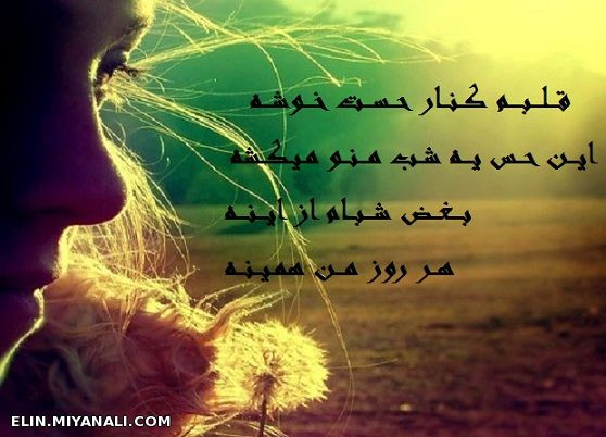 عاشقانه ی من