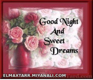 good night and sweet dreams