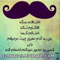 وای ینی چندتا مخ زدم با ای پست