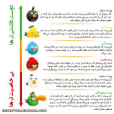 انگری بردز واقعی