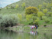 طبیعت شهرستان میاته