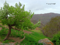 مناظری از گچیلیک میانه   فروردین 94