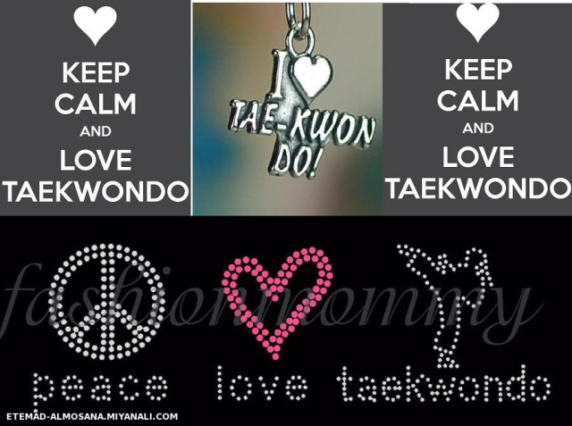 love of taekwond