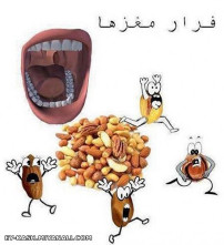 فرار مغز ها