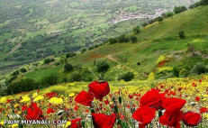 عکسو خودم هفته پیش در حین کوهنوردی گرفتم ( طبیعت زیبای ایلام روستای قجر