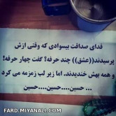 فدای صداقت بیسوادی که...