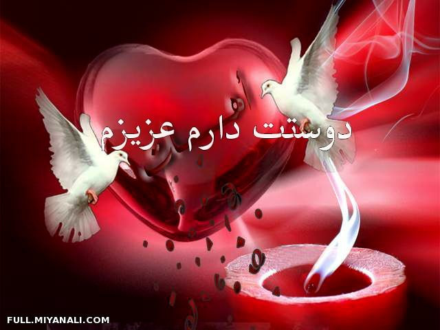 عکس عاشقانه 