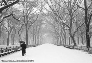 central park mall snow