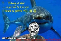 اینجـا دریاستـ I Love You PMC