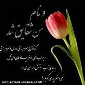 برای تو که همه زندگیمی  R.