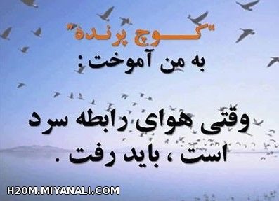 من رفتم حلال کنید فعلا تا چند روز