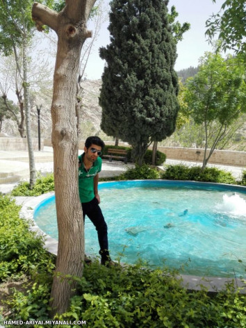 hamed.aroom..shiraz..