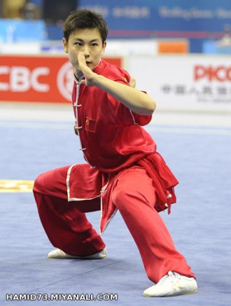 **wushu**