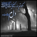 شعر