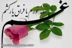 شعر