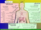 تاثیرات مصرف کوتاه مدت و دراز مدت الکل 