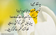 یا مهدی ادرکنی