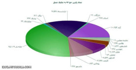 تعداد زائرین حج تمتع سال 93 به تفکیک شغل