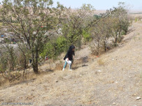 جهت یابی شهرستان میانه