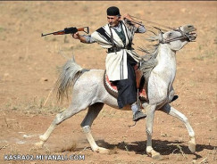 به نام خدایی که بر پارس یاری نمود مرا شهرتم بختیاری نمود 