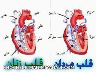 قلب مردان