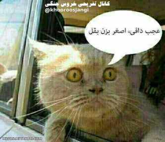 من ودوستم با ماشین 