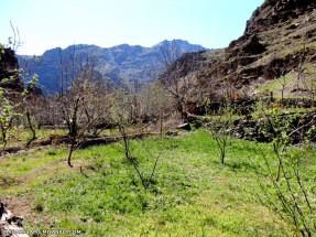 طبیعت بکر روستای ما