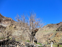 طبیعت بکر روستای ما