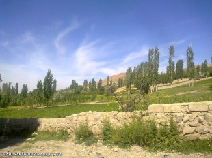 روستای تاوا