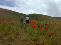 طبیعت زیبای بزقوش