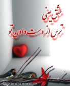 عشق ینعی 