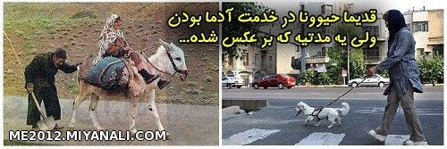 مدتیـــــه کــــه برعکس شــده