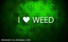 I LOVE WEED 420