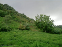 طبیعت روستای دیوشل