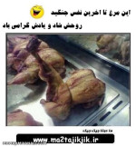 مرغ مقاوم