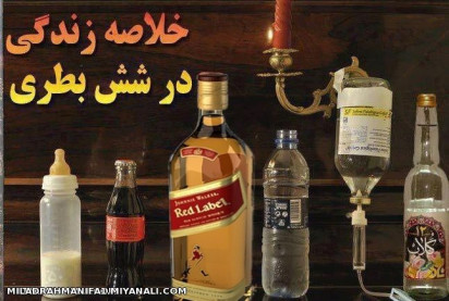 زندگی درشیشه های مختلف