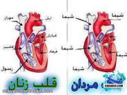 آقایون چیکار میکنند و خانوما چیکار میکنند؟