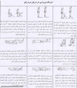 درمان درد زانو با ورزش