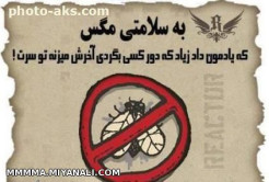 به سلامتی مگس