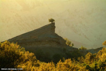 ایران زیبا